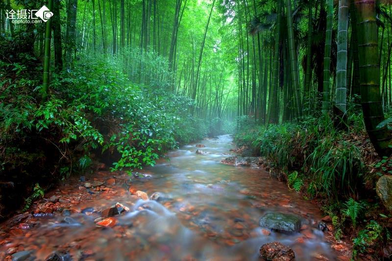 拯救巧虎2