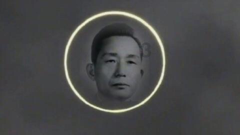 逗小猴开心系列166