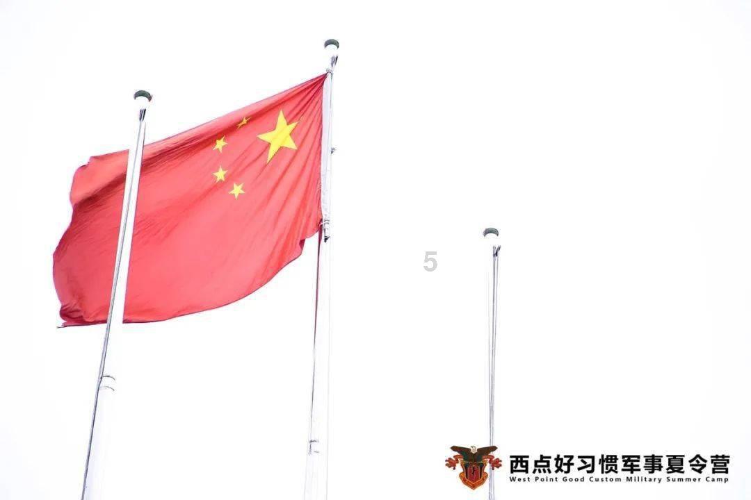 琴覆天下