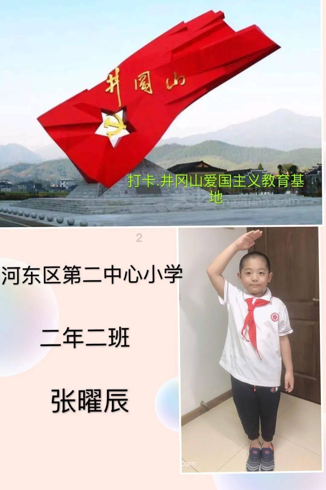 救援可爱的洋葱