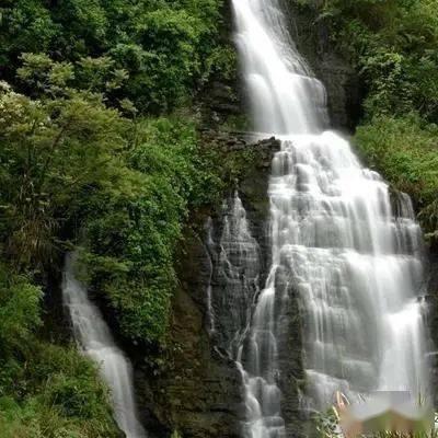 溥仪三岁继位，六岁时便被赶下台，他一生为什么没有子嗣？?游戏画面