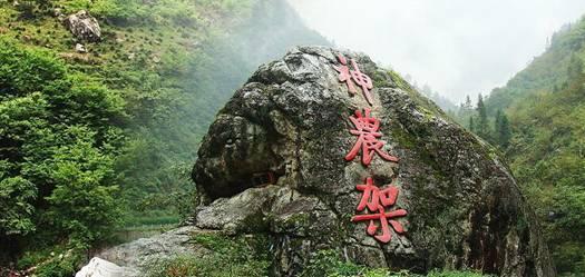 国王的坐骑